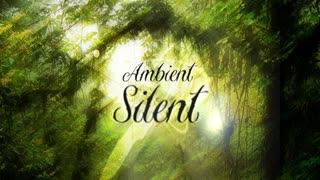 【NNIオリジナル】Silent【アンビエント】