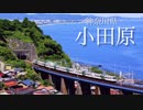 【神奈川】日本一周！グルメ旅【小田原かまぼこ】だるま料理店