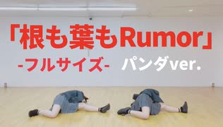 【フルサイズ】根も葉もRumor / AKB48 踊ってみた【パンダチャンネルver.】