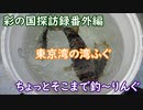 彩の国探訪録 番外編「ちょっとそこまで釣～りんぐ～東京湾のアカメフグ～」【結月ゆかり車載】