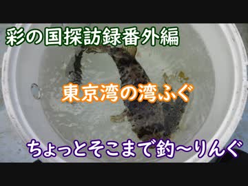 彩の国探訪録 番外編「ちょっとそこまで釣～りんぐ～東京湾のアカメフグ～」【結月ゆかり車載】