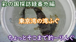 彩の国探訪録 番外編「ちょっとそこまで釣～りんぐ～東京湾のアカメフグ～」【結月ゆかり車載】