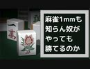 麻雀1mmも知らん奴がやっても勝てるのか｜THE 麻雀