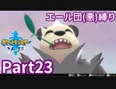 ポケモン剣ではエール団(悪)のポケモン縛りでやっていくPart23