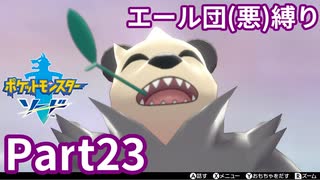 ポケモン剣ではエール団(悪)のポケモン縛りでやっていくPart23