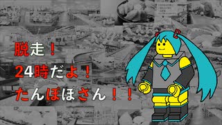 【初音ミク】脱走！24時だよ！たんぽぽさん！！【オリジナル】