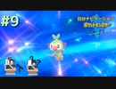頼れるのは過去の俺！？　自分ナビゲーションポケモン part9　【ポケモンソード】
