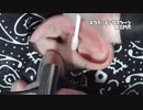 【ASMR】本物の耳かき音 お風呂上り粘着綿棒編_Real Ear Cleaning Sound  _SONY マイク ECM-CS3 _no talking
