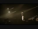 【JAY】印第安老斑鸠
