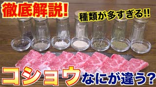 【スパイス】コショウの全てがわかる動画！！プロが解説します！