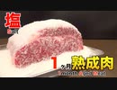 塩で1ヶ月熟成肉作ってみた Insane Salt Dry Age Experiment!!