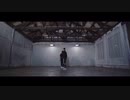 Stray Kids "Back Door" Dance Practice Video