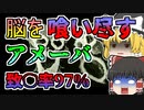 【1965年～】自然の温水に潜む脳を喰い尽くすアメーバ...【ゆっくり解説】