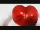 無条件の波動４３０　～愛の波動を感じて～