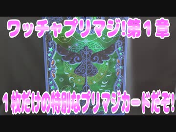 ワッチャプリマジ!第１章～１枚だけの特別なプリマジカードだぞ!～