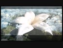 【初見実況】鬱持ちでも NieR Replicant ver.1.22... をやってみたい【Part45】Final episode