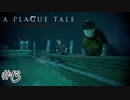 鍾乳洞とかいう究極の映えスポット#13【A Plague Tale: Innocence】