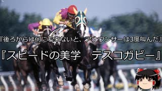 【競馬】ゆっくりさんと未来に語り継ぎたい名馬たち その050【ゆっくり朗読】