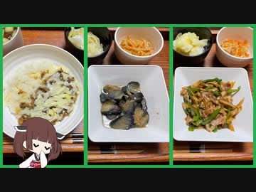 VOICEROID自炊記録　R3/10/16【ボイロキッチン】