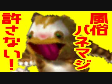 モンスターファーム２RTA_ホッパー種編_２時間５８分２８秒_1/7【１３体目/３８】