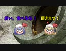 Halo3に隠れている黄金のモアを探せ！！