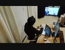 家族で時事放談　402日目【これから数百年単位で衰退と分裂を繰り返すこととなる地域】習近平の文革によりすでに日本型不況に突入。中共とともに儲けるシステムの終焉。【シナ大陸とそのペニンシュラ】