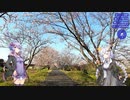 【自転車車載】あかりちゃんをサイクリングに連れ出しました 6回目