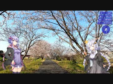 【自転車車載】あかりちゃんをサイクリングに連れ出しました 6回目