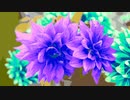 OH, My Dahlia !!!