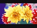 OH, My Dahlia !!!
