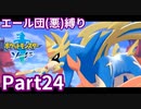 ポケモン剣ではエール団(悪)のポケモン縛りでやっていくPart24