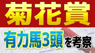 【菊花賞2021予想】好走が予想される3頭は“この馬”だ！！