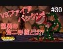 「ねがいごと」を守る冒険へ【マリオストーリー】＃30