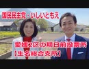 上島町の期日前投票所【生名総合支所】愛媛2区の立候補者・いしいともえ【衆議院選挙2021】