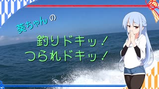 葵ちゃんの釣りドキッ！つられドキッ！その２【一つテンヤマダイ】