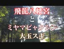 須々万 飛龍八幡宮！