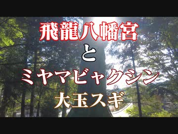 須々万 飛龍八幡宮！