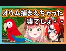 ハコスが捕まえようとしているオウムを横から捕まえてしまう桃鈴ねね【ホロライブ切り抜き】