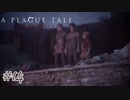 廃城奪還作戦#14【A Plague Tale: Innocence】