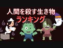 人間を殺す生き物ランキング　ゆっくり解説