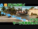 【FARCRY6】凸凹ゲリラが征くヤーラを解放せよ!#12【LgLp】