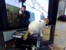 テレビガリガリ2