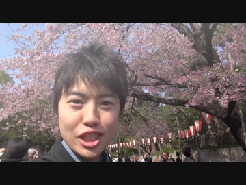 幽雅に咲かせ、墨染のマスオ ～ Border of Masuo