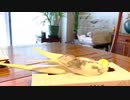 ティッシュになろうと努力するオカメインコ