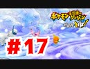 【実況】ここはアチャモ任せで問題ないな！【ポケモン不思議のダンジョン 救助隊DX】#17