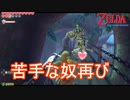 この世で一番苦手な敵がまた　ゼルダの伝説スカイウォードソードHD実況プレイPart41