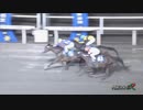 2021年10月20日門別競馬9R ＪＲＡ認定ウィナーズチャレンジ１１ ベルフリップ