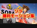 ソラの勝利モーション集！【スマブラsp】