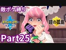 ポケモン剣ではマクロコスモスのポケモン縛りでやっていくPart25