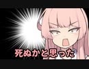 琴葉葵「茜は一緒に寝てくれるなら誰でもいいんでしょ？」茜「！？」